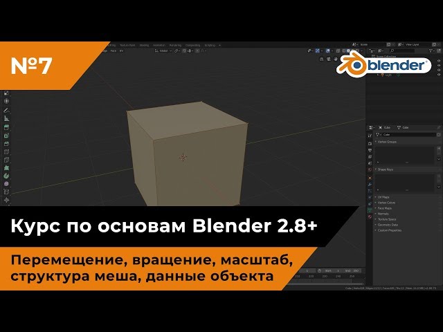 Перемещение, вращение, масштаб, структура меша, данные объекта