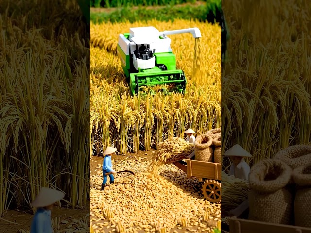 Agriculture AI Paddy Plantation #youtubeshorts #viralvideo #trending #@ajaymango5266
