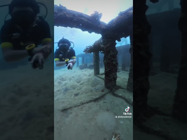 Cubes swim through at #tanote