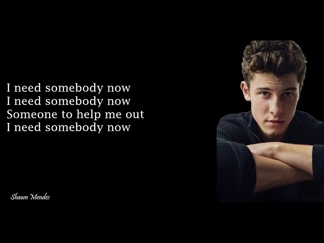 Shawn Mendes - In My Blood (Lyrics)