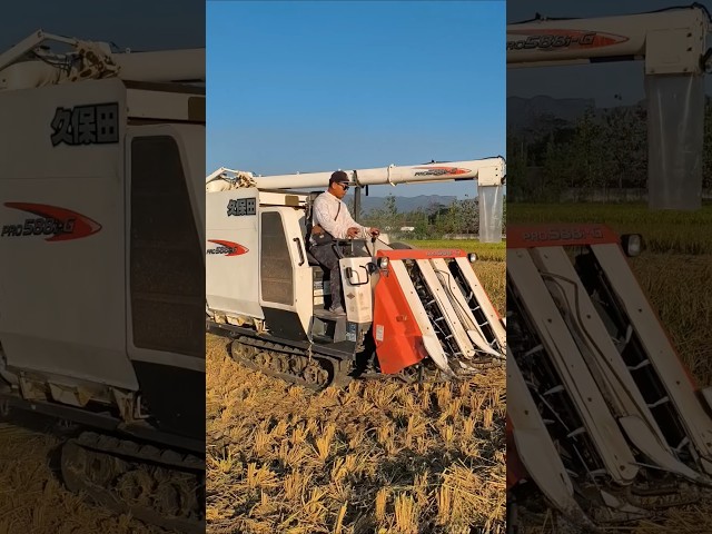 COMBINE HARVESTER KUBOTA PRO588Gi PONOROGO eps 103 #kombisawah #combineharvester #kubota