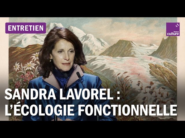 Comprendre l'écologie fonctionnelle avec Sandra Lavorel, médaille d’or 2023 du CNRS