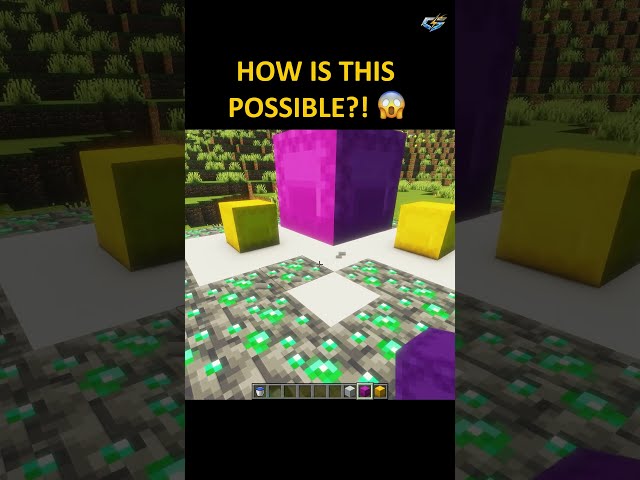 This Minecraft Shulker Box Makes NO SENSE 🤯