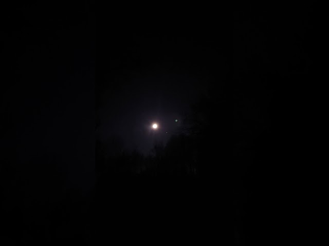 January 14, 2025: Full Moon & Mars Rx in Cancer