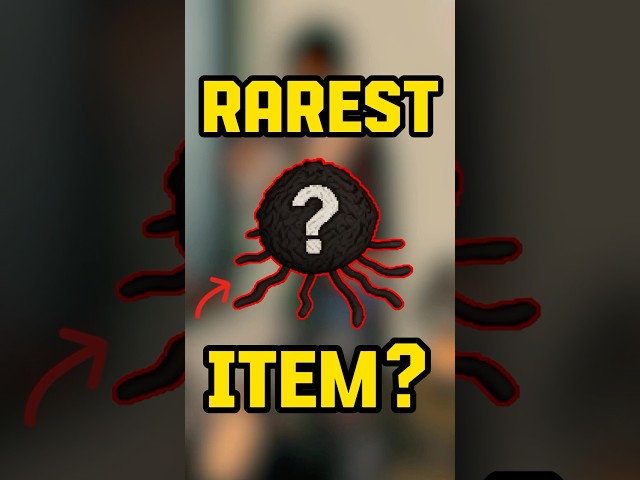 The RAREST Items in Project Zomboid