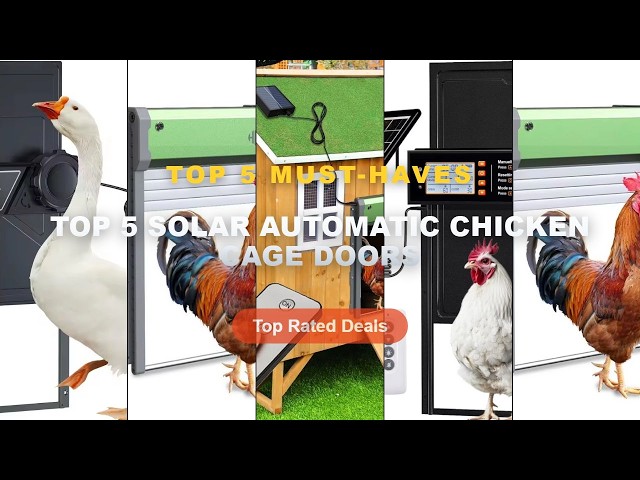 Why Everyone Is Buying Top 5 Solar Automatic Chicken Cage Doors - Aluminum Solar Powered Chicken Cag