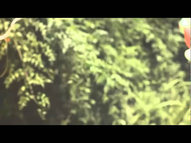 El Kuelgue -  El paraiso de los perros (Oficial)