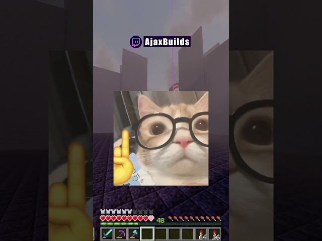 La Granja de Piedra Negra!🙀 (Recuerdo) #minecraft  #shorts