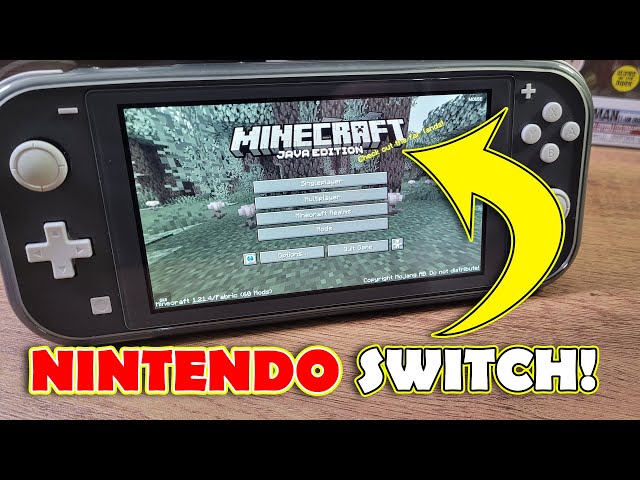 Java Minecraft On The Nintendo Switch