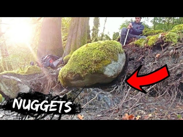 GOLD RECORD NUGGET UNDER BIG ROCK!!