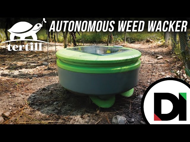 Franklin Robotics: Will this cute weeding robot become the next big thing in gardening?