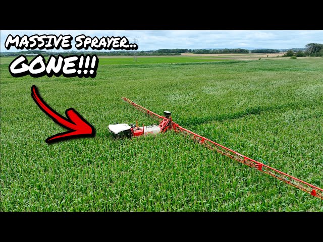 SO BIG THAT WE LOST A MACHINE!!... SPRAYING 12FT TALL MAIZE... BUT WHY!?