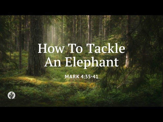 How to Tackle an Elephant | Our Daily Bread | Daily Devotional