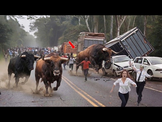 250 MOST TERRIFYING ANIMAL ATTACKS Ever Caught on Camera | Wild Animals Invading People’s Homes