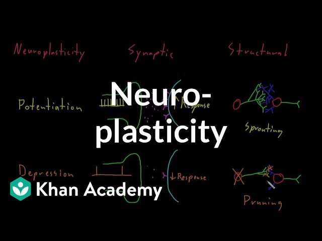 Neuroplasticity | Nervous system physiology | NCLEX-RN | Khan Academy