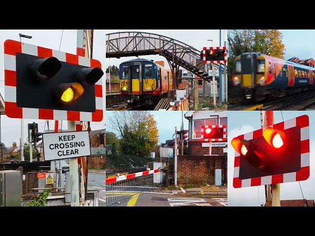 Trains at Wokingham Level Crossing, Berkshire (Two Days in 2020)