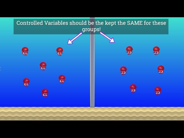 Variables in Science: Independent, Dependent and Controlled!