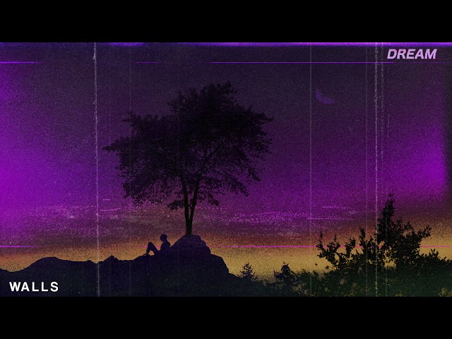sapientdream - WALLS (if we fight)