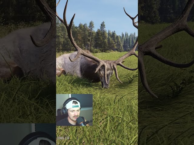 New .270 & Bergara Suppressor Take Down 5 Star Elk! #wayofthehunter2