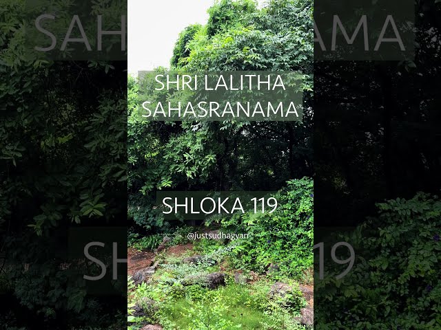 Shri Lalitha Sahasranamam Shloka 119 | कटाक्षकिङ्करी भूत कमला Lalitha Sahasranamam|Just Sudha Gyan