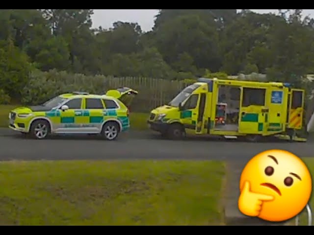 nuisance to the emergency services (Read Description)