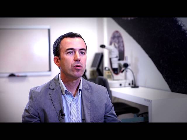 VELCRO® Brand Featured on Wicked Inventions