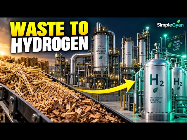 Inside a Biomass Gasification Plant: From Organic Waste to Green Hydrogen