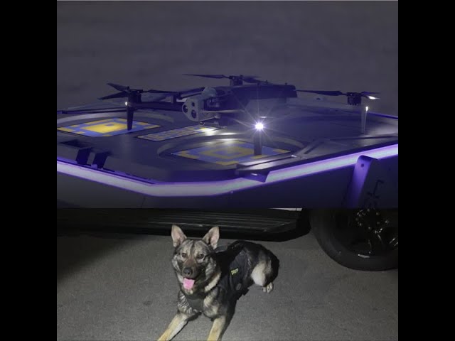 WATCH: Deputies use drones, K9 to locate suspected BMW car thief hiding in a tree after fleeing