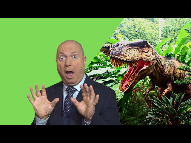 How To Record Green Screen Video like a Pro!