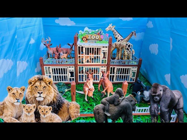 Animal Families In The Amazing Zoo Part 2| Toy Animal| Lion Family, kangaroo Family, penguin Family 