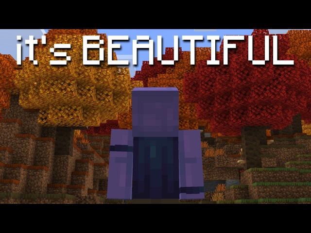 My Thoughts on the NEW Minecraft Update...