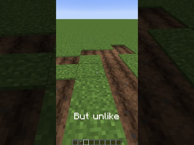 Injecting Life into Minecraft's Source Code #minecraft #minecraftshorts #coding
