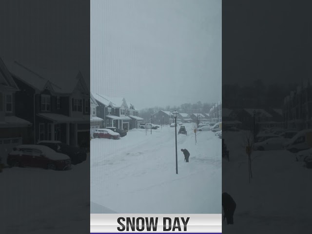 This snow day hit different #blizzard #winter #shorts
