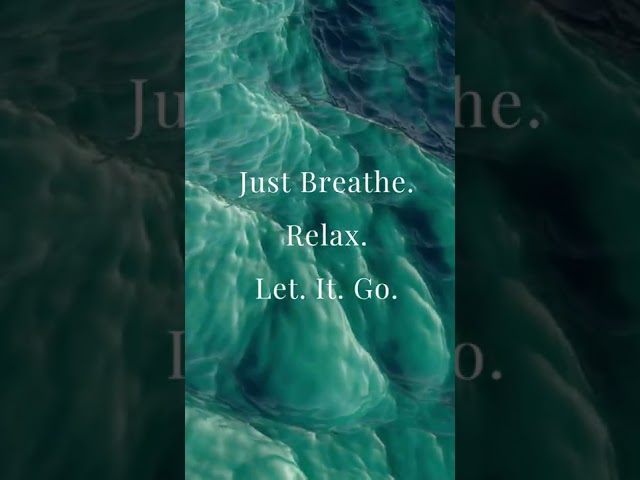 You are worth all that is good. Let go of anything you don’t want. #oceanwaves #relaxing vids