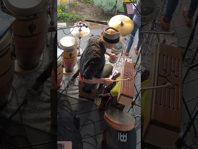 Log Drum Live #shorts