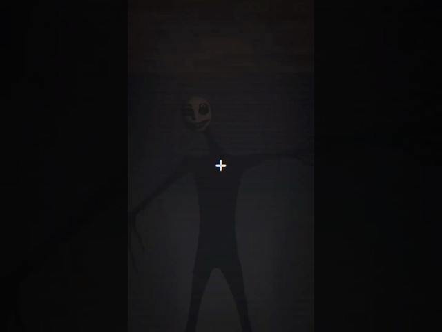 i've never been this scared