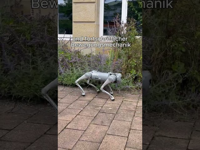 🌗 Nacht der Wissenschaft - Programmhighlight Roboterhund 🤖🐶