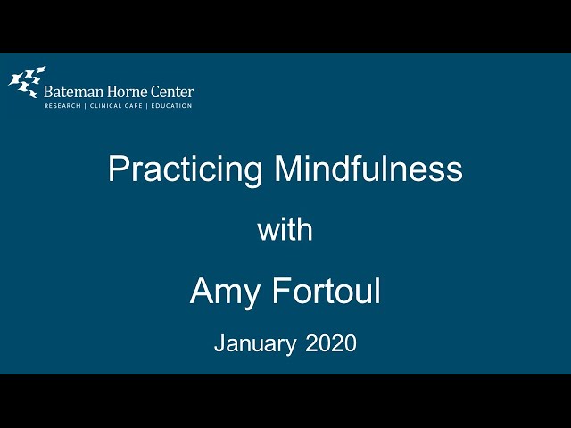 (2020) Practicing Mindfulness