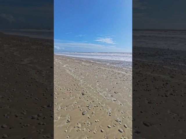 Experience the Charm of Ile de Ré in this Short Beach Stroll