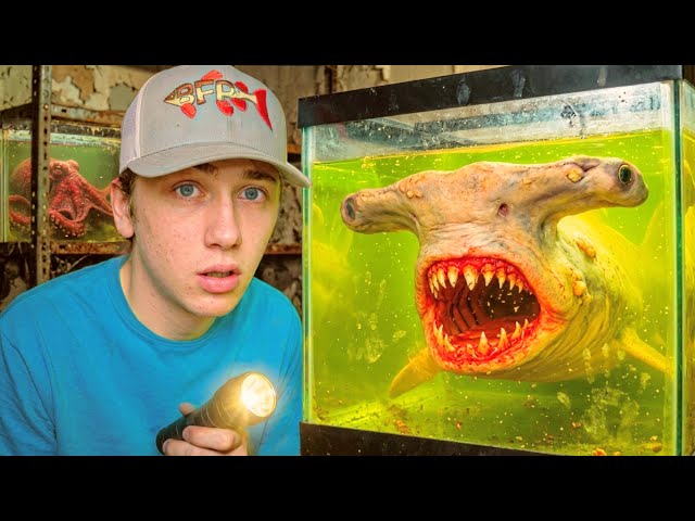I Found The World’s Deadliest Sea Monsters…