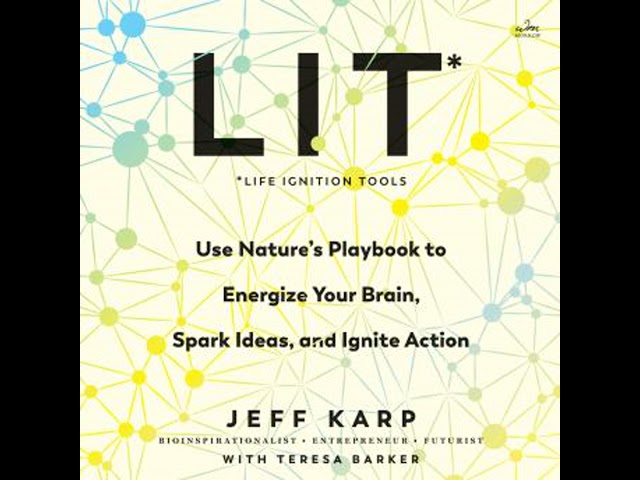 LIT: Life Ignition Tools: Use Nature's Playbook to Energize Your Brain, Spark Ideas, and Ignite