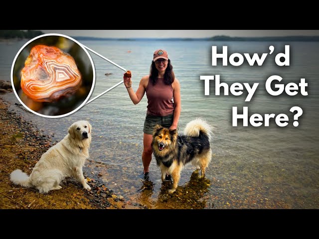 How Agates Form, Why Minnesota Lakes Have So Many, & Where To Look For Them! GEO GIRL