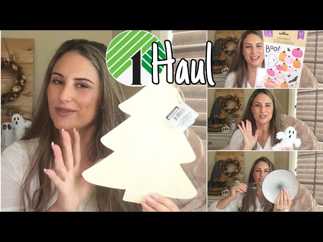 NEW DOLLAR TREE HAUL