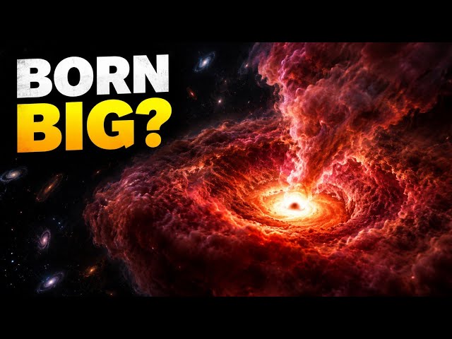 Did JWST Just Discover The Birth Of Supermassive Black Holes?
