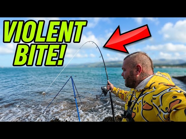 The Sea ERUPTED with FISH While Fishing on the MENAI STRAIT❗️
