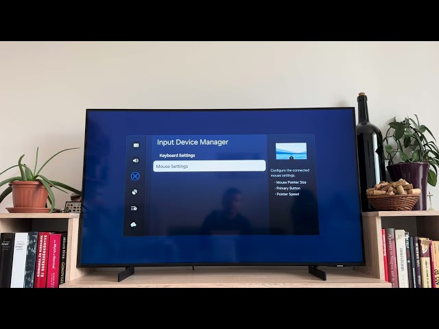 How to Change Pointer Speed on Samsung TV?