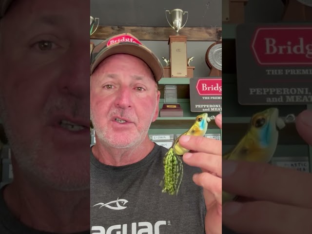 Best July Bass Fishing Lures