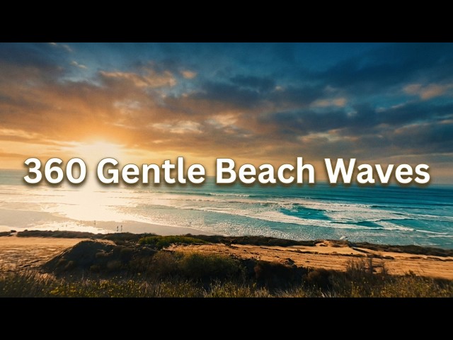 360 Beach Meditation Video