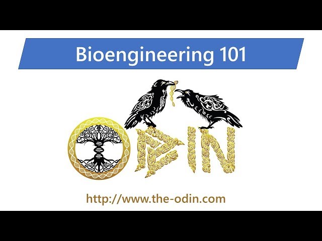 Bioengineering 101 - Class 1