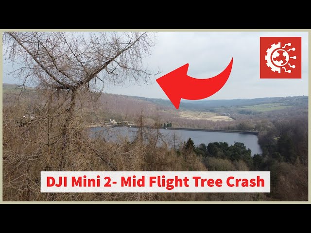DJI Mini 2 Mid-Flight Incident in 4K